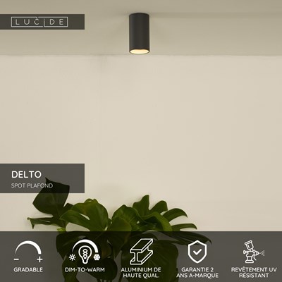 Lucide DELTO - Spot plafond - Ø 5,5 cm - LED Dim to warm - GU10 - 1x5W 2200K/3000K - Gris